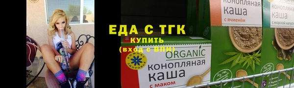индика Алзамай
