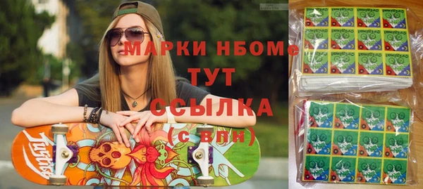 индика Алзамай