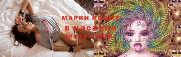 индика Алзамай