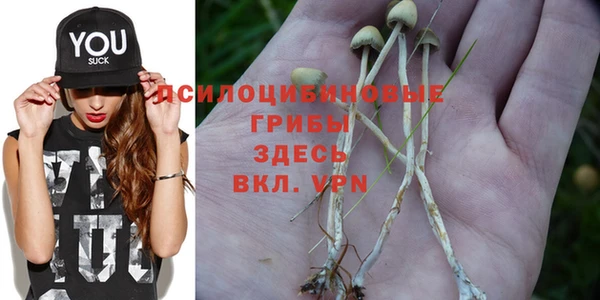 индика Алзамай