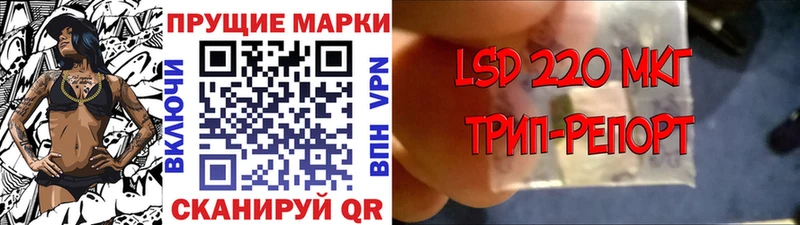 блэк спрут ONION  продажа наркотиков  Карасук  Марки 25I-NBOMe 1500мкг 