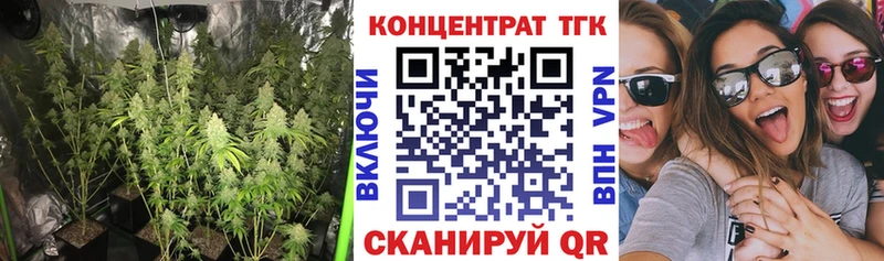 сколько стоит  Карасук  мега рабочий сайт  Дистиллят ТГК THC oil 