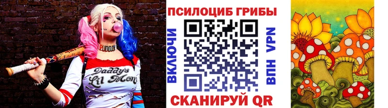 блэк спрут зеркало Карасук Галлюциногенные грибы Psilocybine cubensis